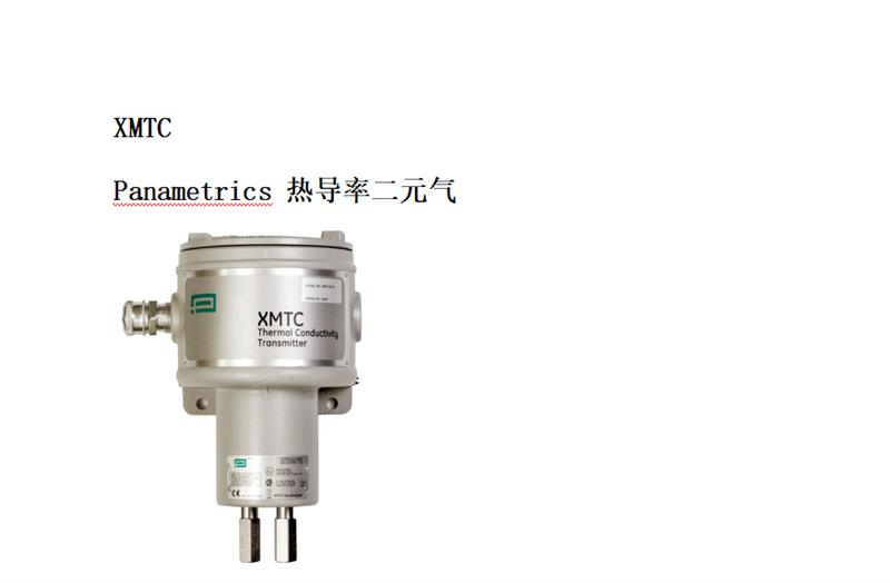 熱導二元氣體變送器