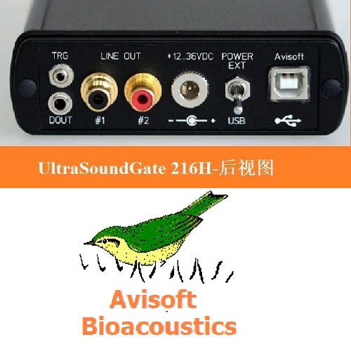 德國Avisoft超聲聲音播放裝置