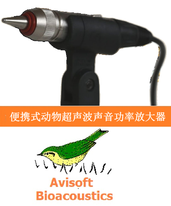 德國Avisoft全向駐極體超聲話筒USG