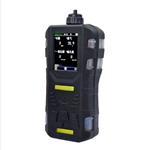 便携式气体检测报警器 型号:BX33-S316