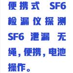 便攜式SF6氣體定性檢漏儀 DILO-3-033-R002