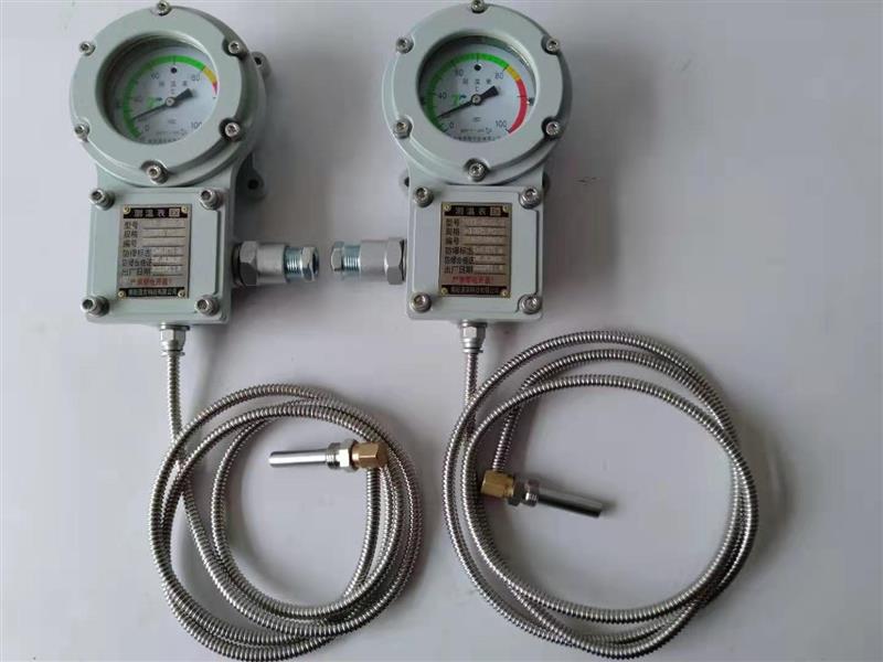 防爆儀表BWTY-205Z后法蘭尺寸與電機安裝尺寸是同一的