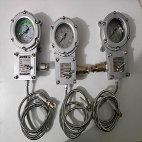 防爆儀表BWTY-205Z后法蘭尺寸與電機(jī)安裝尺寸是同一的