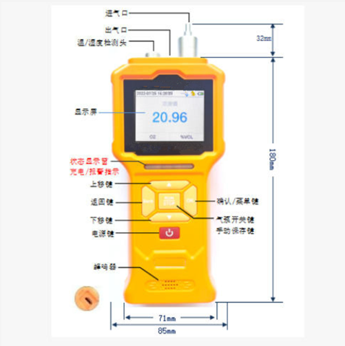 泵吸式氨氣檢測(cè)儀 型號(hào):ZXGT903-NH3-CL