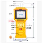泵吸式氨氣檢測儀 型號:ZXGT903-NH3-CL