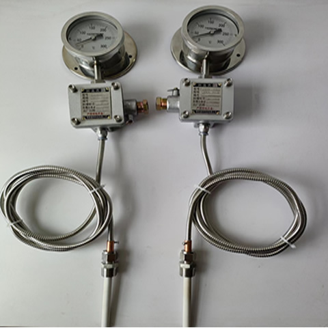 WTZd-285z防爆溫度表經(jīng)得起第三方檢測