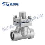 DH61Y,DH61F低温止回阀