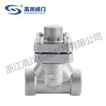 DH61Y,DH61F低温止回阀