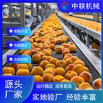 全自動水果罐頭設備  全程無人化操作