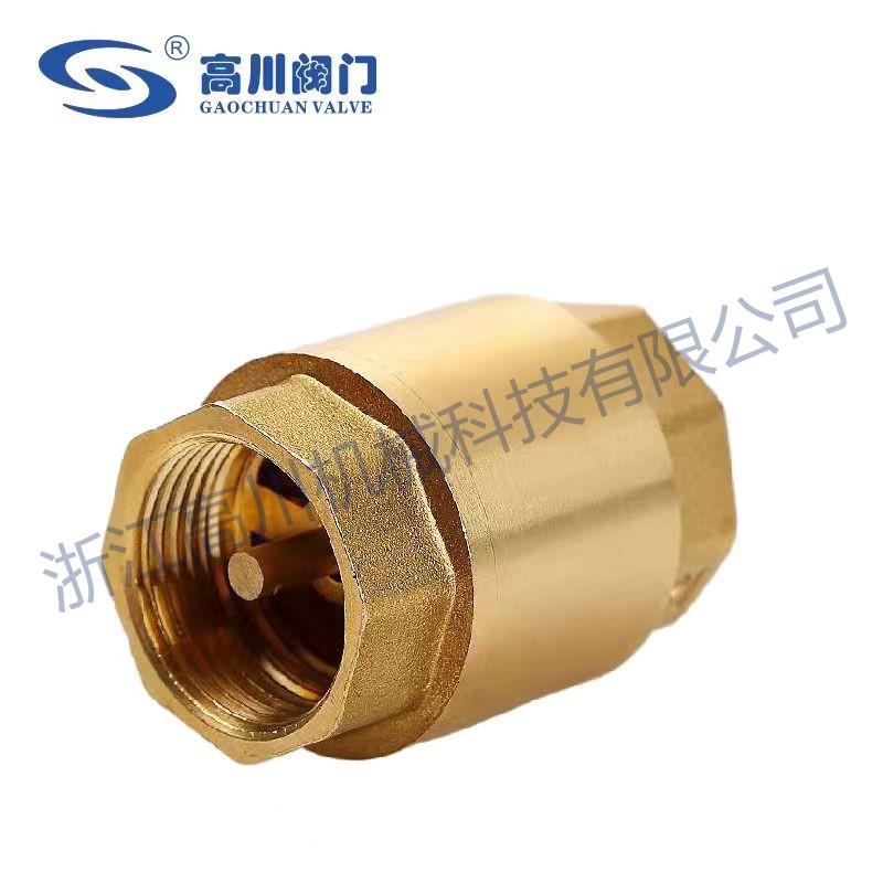 H12W弹簧式止回阀