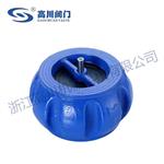 H71XT對(duì)夾式消聲止回閥