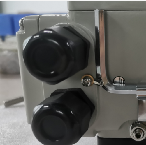 電動執行器/電磁閥 型號:BH33-ZF-05E