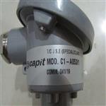 Capit热电阻Capit温度传感器经销商