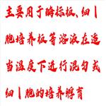 微孔板恒温振荡器 型号:BX33-MB100-2A