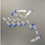 马尔文玻璃微珠  型号:GG988-CRM3310 