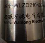 振動(dòng)速度傳感器ZHJ-6YM10×1.5