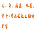 拍打式無菌均質(zhì)器 型號:LF06-HFD-WJ400M