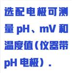 实验室PH计 型号:ST10/PHS-711A