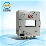 MQY800EX防爆露點分析儀 