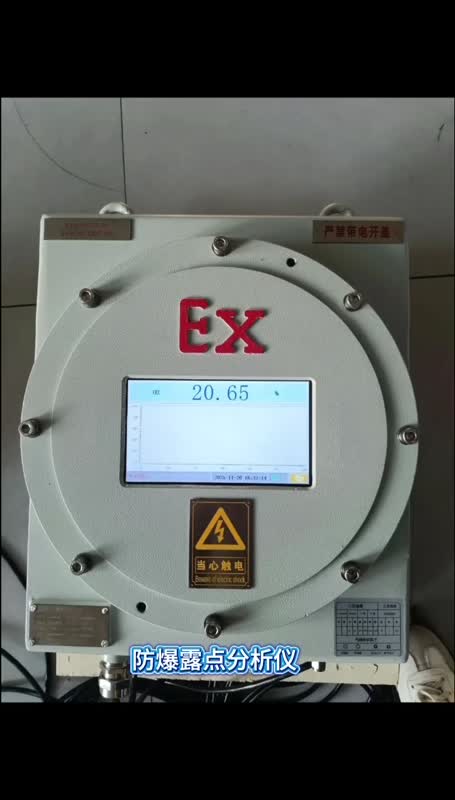 MQY800EX防爆露點分析儀 