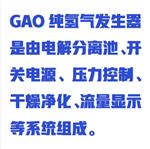 高纯氢气发生器（中西器材）ZXBFRL-H500