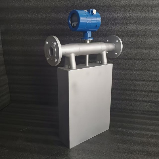 质量流量计HK-CMF-D-DN50库号D410699   