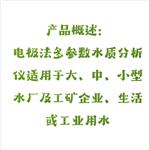 电极法多参数检测仪 中西器材 SX24-XZ-0207 电极法多参数检测仪 中西器材 SX24-XZ-0207