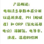 电极法多参数检测仪 中西器材 SX24-XZ-0207 电极法多参数检测仪 中西器材 SX24-XZ-0207