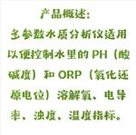 电极法多参数检测仪 中西器材 SX24-XZ-0207 电极法多参数检测仪 中西器材 SX24-XZ-0207