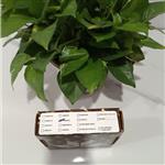 Teledyne氧傳感器BZ250-C06689-B2CXL