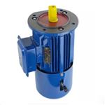 三相异步电动机 型号:SA80-Y2EJ-80M2-4
