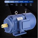 三相異步電動機(jī) 型號:SA80-Y2EJ-80M2-4 三相異步電動機(jī) 型號:SA80-Y2EJ-80M2-4