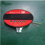 压力开关（控制器）YKN10A库号：M412327 