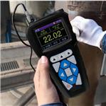 電磁聲測厚儀 型號:DEU101P3庫號：M412541 