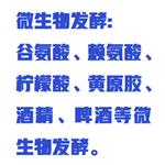 全自动还原糖测定仪 型号:ZX/SGD-IV