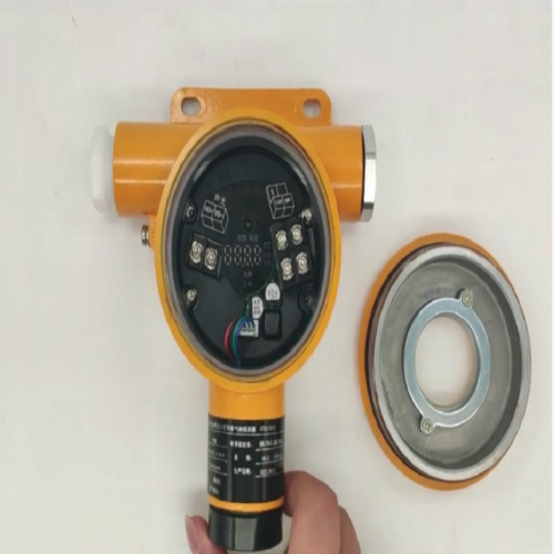 硫化氢气体报警器 型号:C610-HCL 硫化氢气体报警器 型号:C610-HCL