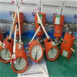 可調(diào)整雙向示流信號(hào)器SLX-25ZS SLX-40