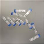 马尔文配套玻璃微珠  型号:GG98-CRM3210