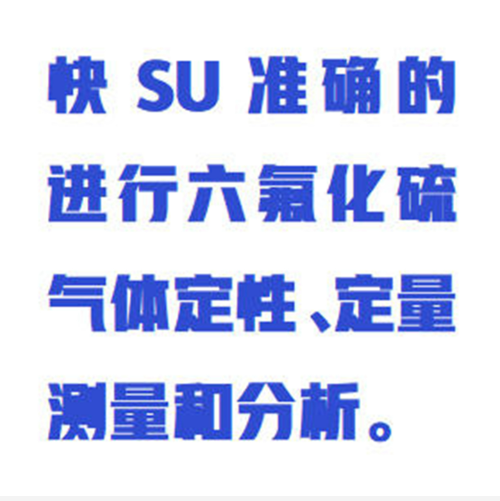 手持式SF6气体检漏仪（中西器材）ZXJLY-SF6