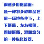 調(diào)速多用振蕩器(中西器材） WYRH01/ZDQ-DRL