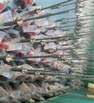 振动监控仪HZD-W/L-S4-20MA20mV/mm/s