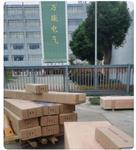 振动传感器VRS-YF-V-020-00-OXH