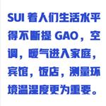 高精度溫濕度計(jì) 型號(hào):ZXYD/KTH-2 高精度溫濕度計(jì) 型號(hào):ZXYD/KTH-2