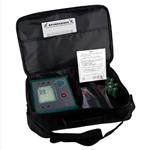 數(shù)字絕緣電阻測試儀 型號:HX03-FR3025E