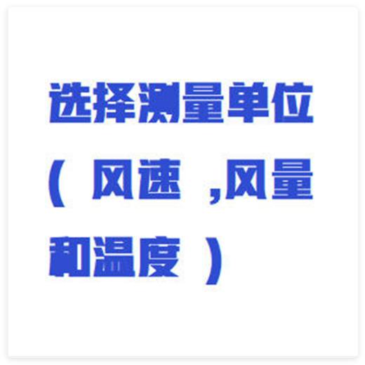 熱線風速測量儀 法國型號:NZS9-VT110