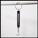 管型测力计（普通型） 型号:KL-10