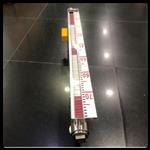 防爆翻板式液位计 型号:TYCO-7XC740 