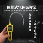 便携式可燃气体检漏报警仪厂家直销