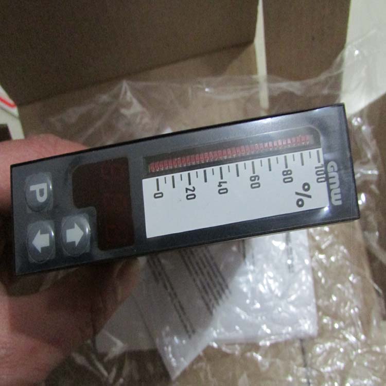 GMW 指示器  Dinalog A96x24(3).jpg