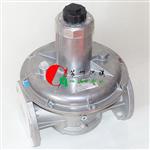DUNGS冬斯燃气过滤器GF4007/1